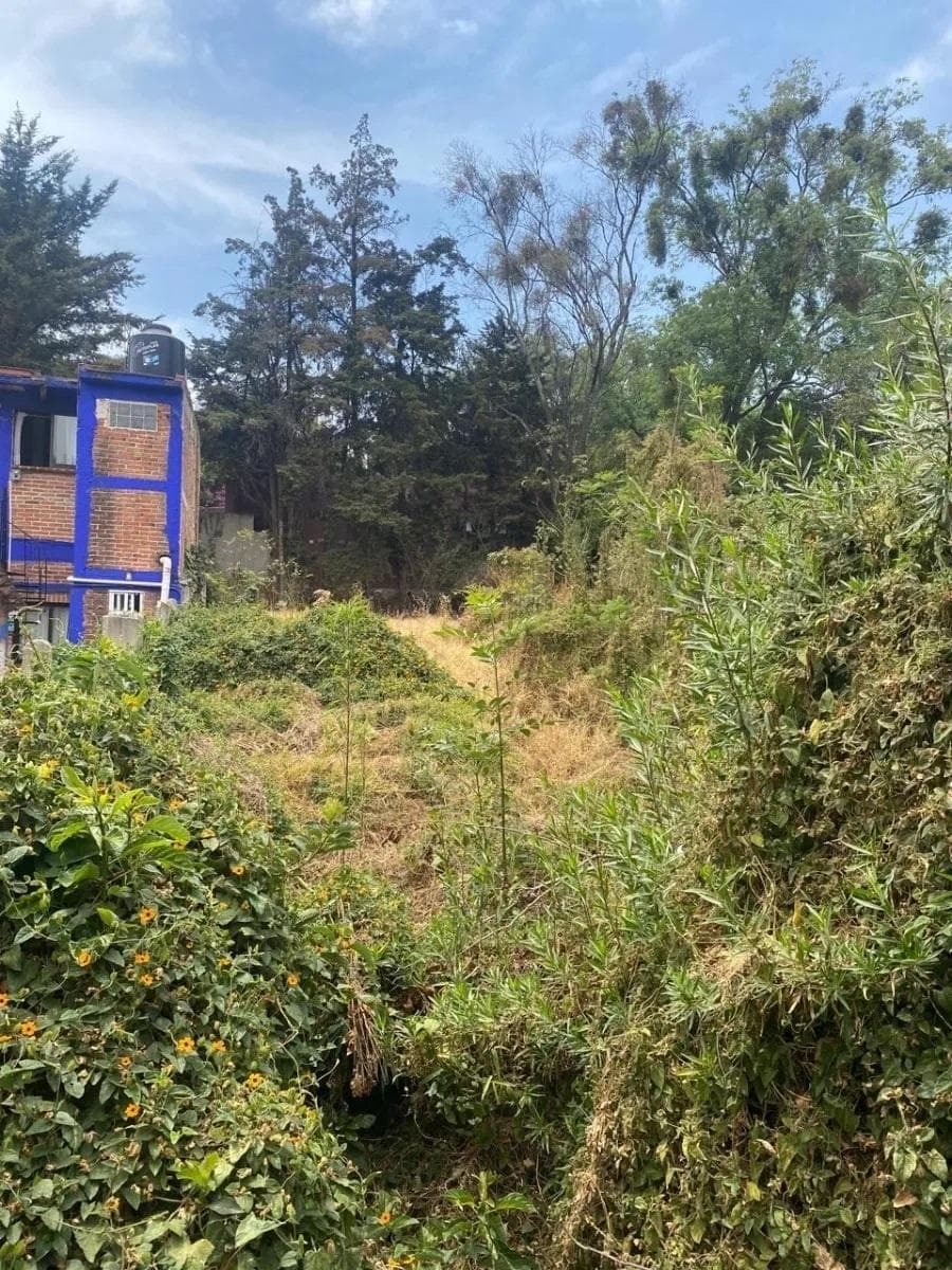Terreno en venta en San Jerónimo Lídice - 1