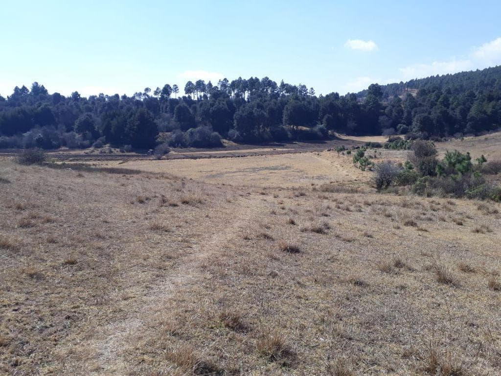 TERRENO EN VENTA CAMPESTRE EN VILLA VICTORIA - 1