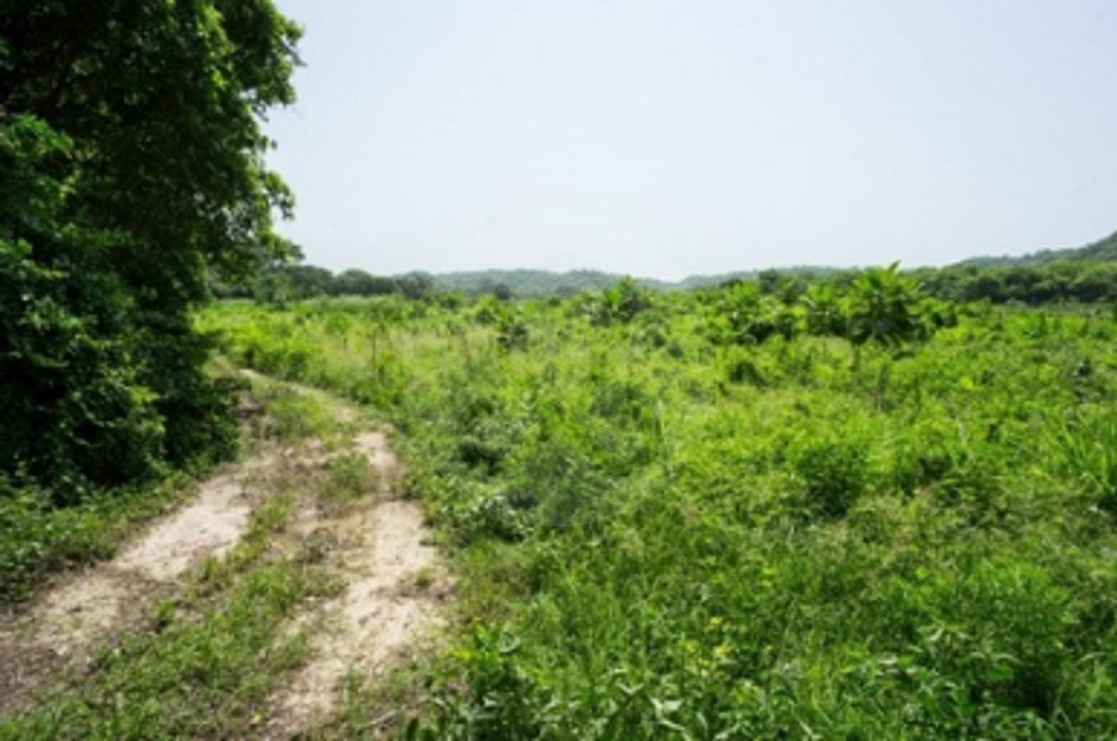 Terreno en Venta de 94 ha y 400 m de playa en Huatulco - 1