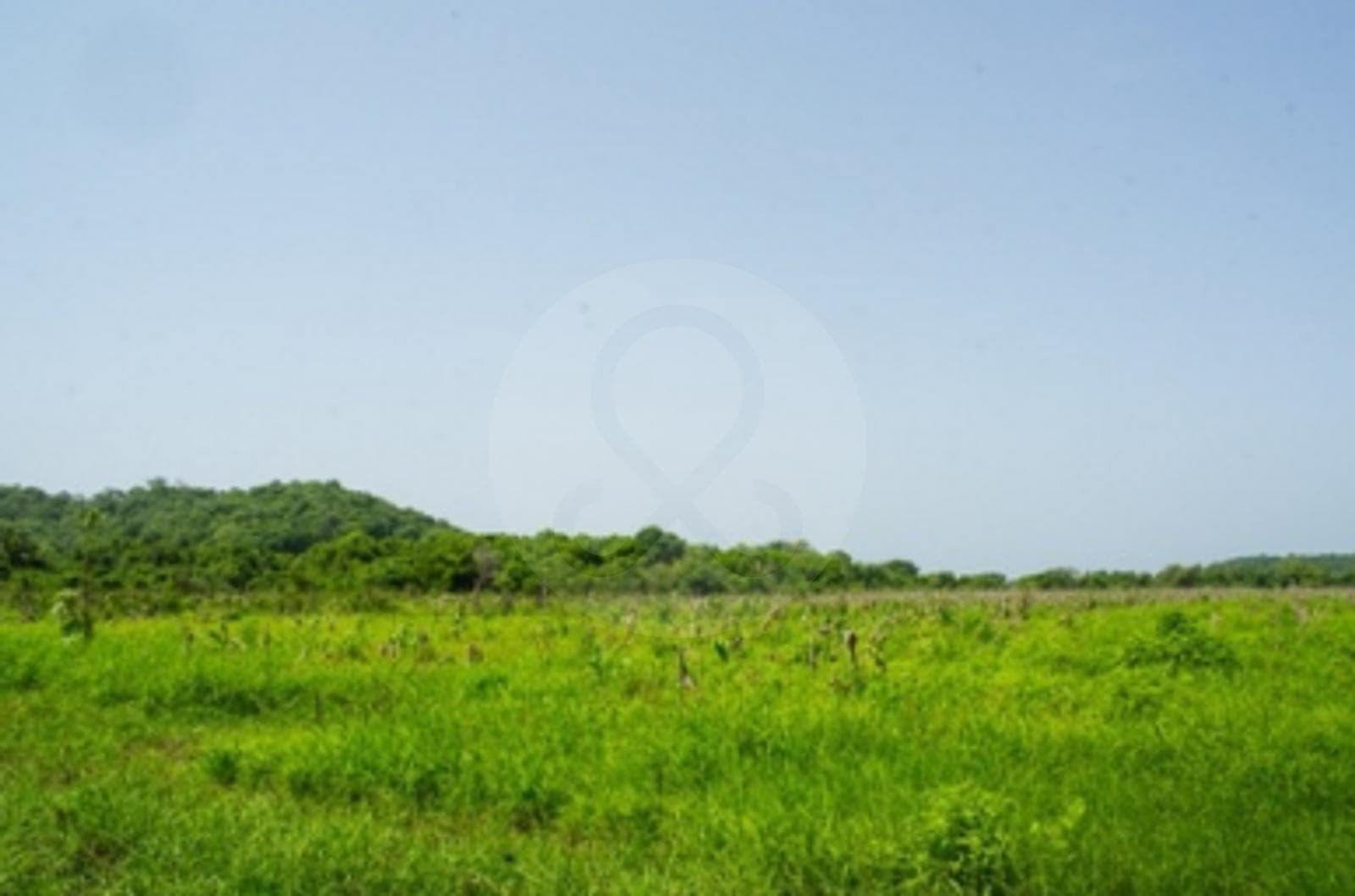 Terreno en Venta de 28 Ha en Huatulco - 1