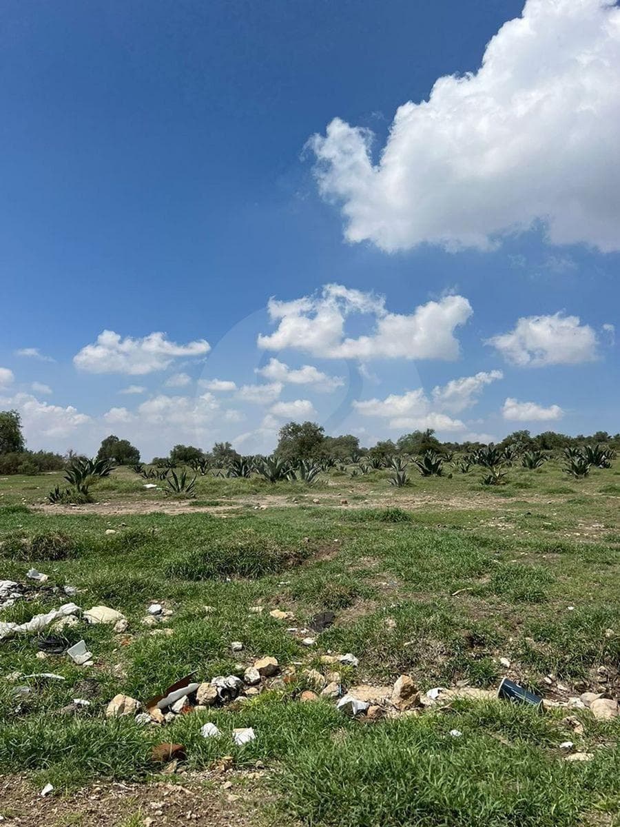 TERRENO EN VENTA, ZAPOTLÁN DE JUÁREZ, HIDALGO - 1