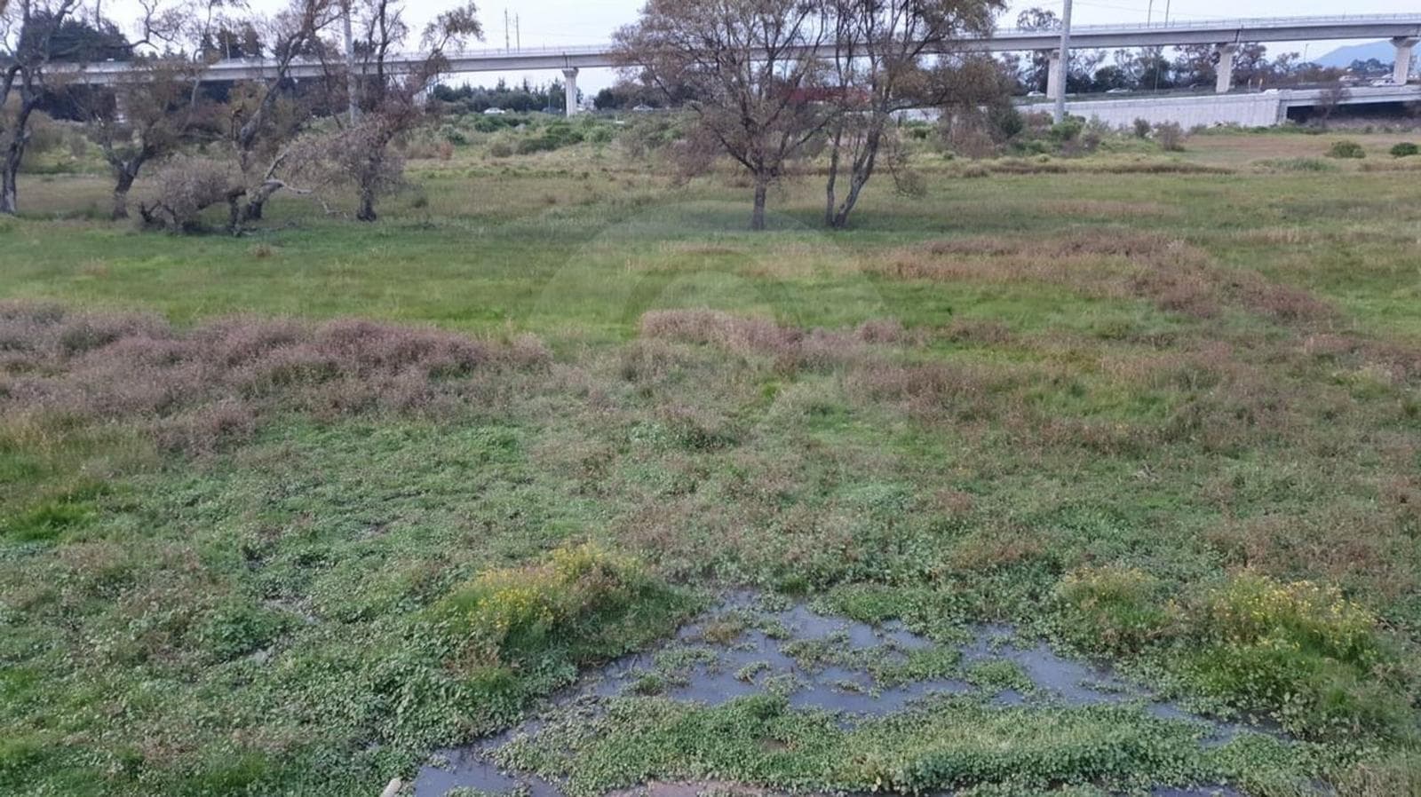 Terrenos en Venta, San Pedro Tultepec, Lerma - 1