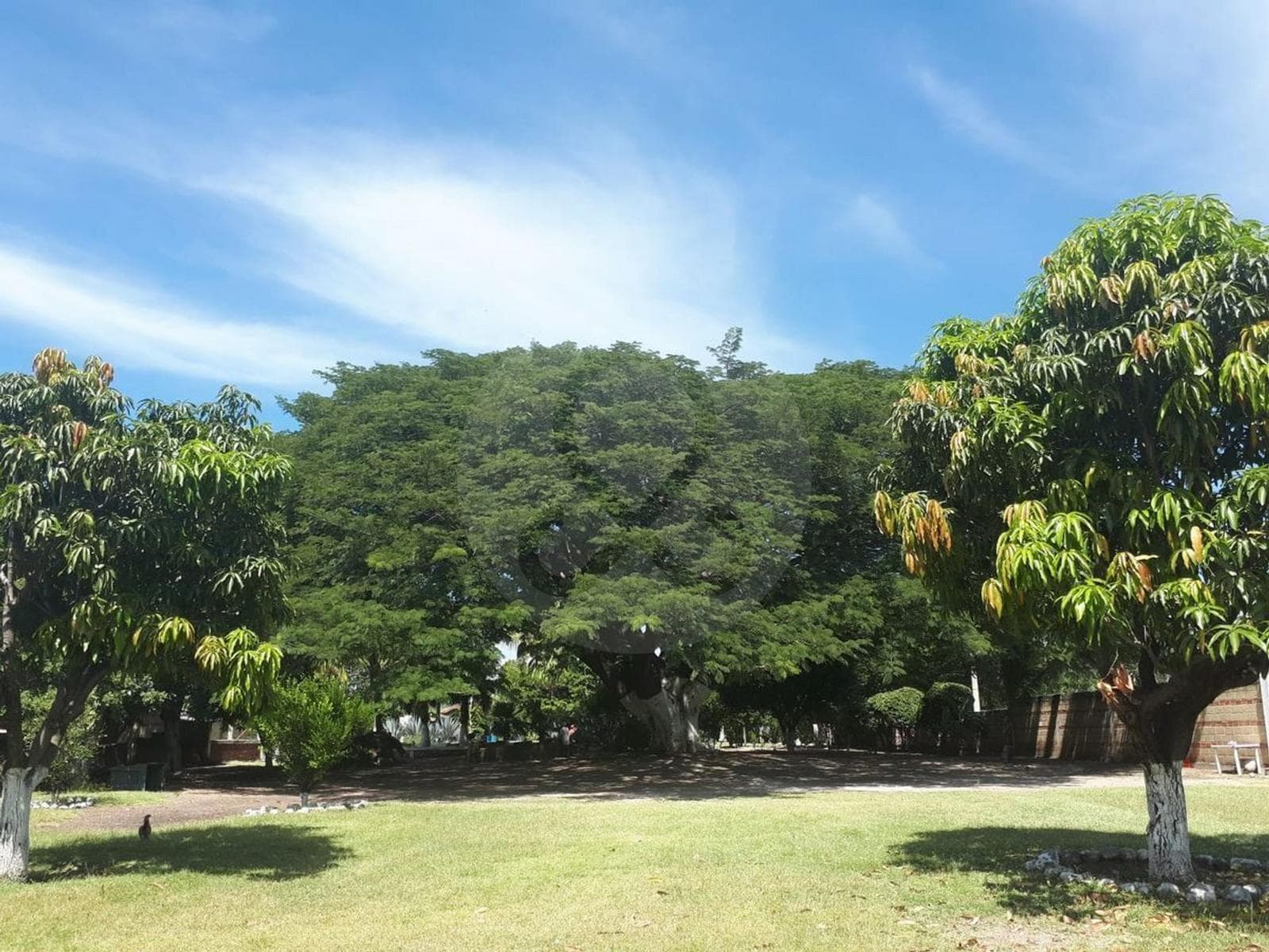 Terreno Residencial en venta en Xoxocotla Mor. con todos los servicios - 1