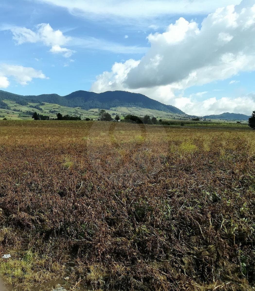TERRENO EN VENTA SAN NICOLAS COATEPEC - 1