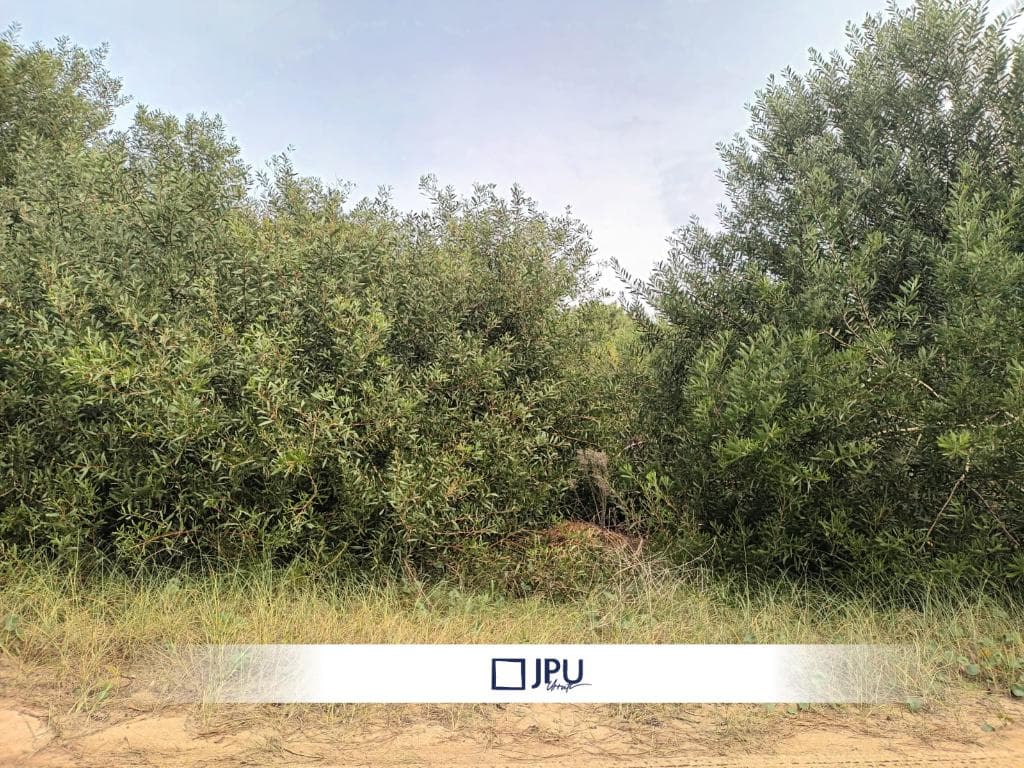 Terreno en Venta en Costa Esmeralda Barrio Residencial II - 1