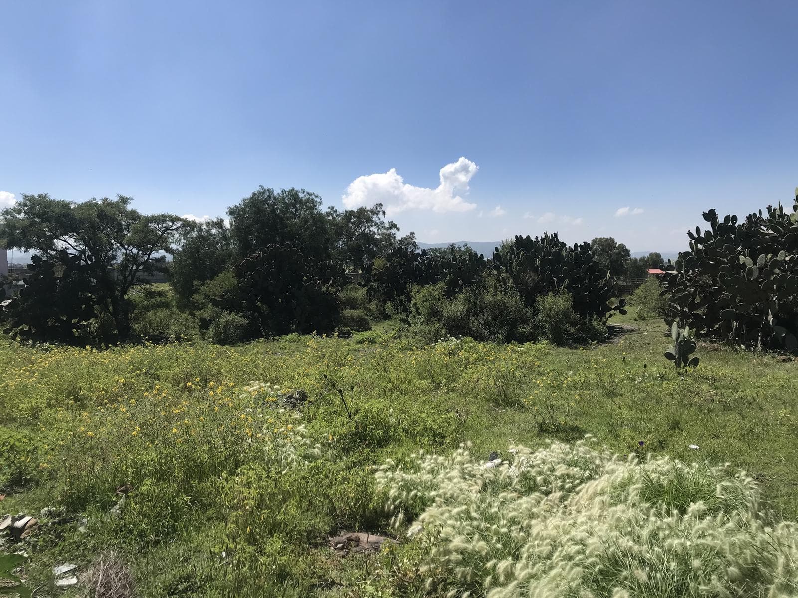 Terreno en San Pedro Huaquilpan Zapotlan de Juarez Hidalgo - 1