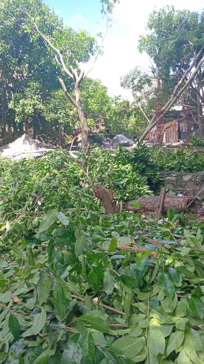 Terreno en venta en la calle 20 en cozumel - 1