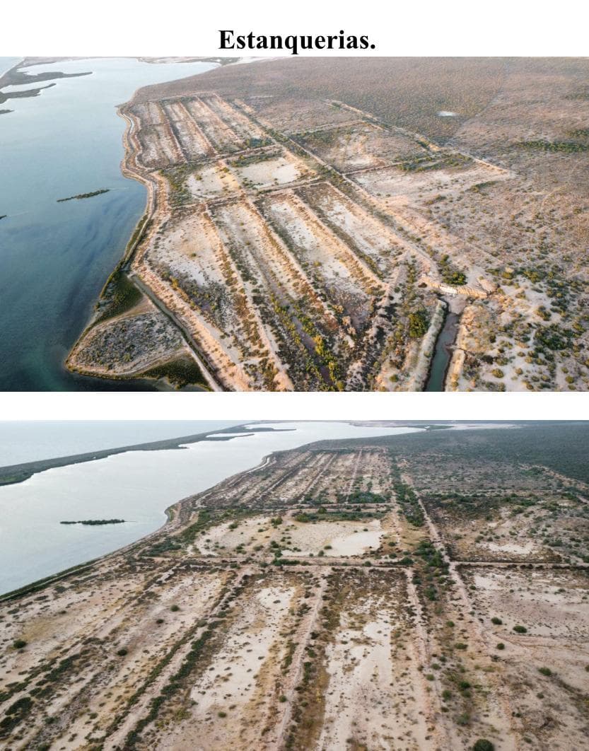 Terreno en venta en Agiabampo municipio de Navojoa, Sonora - 1