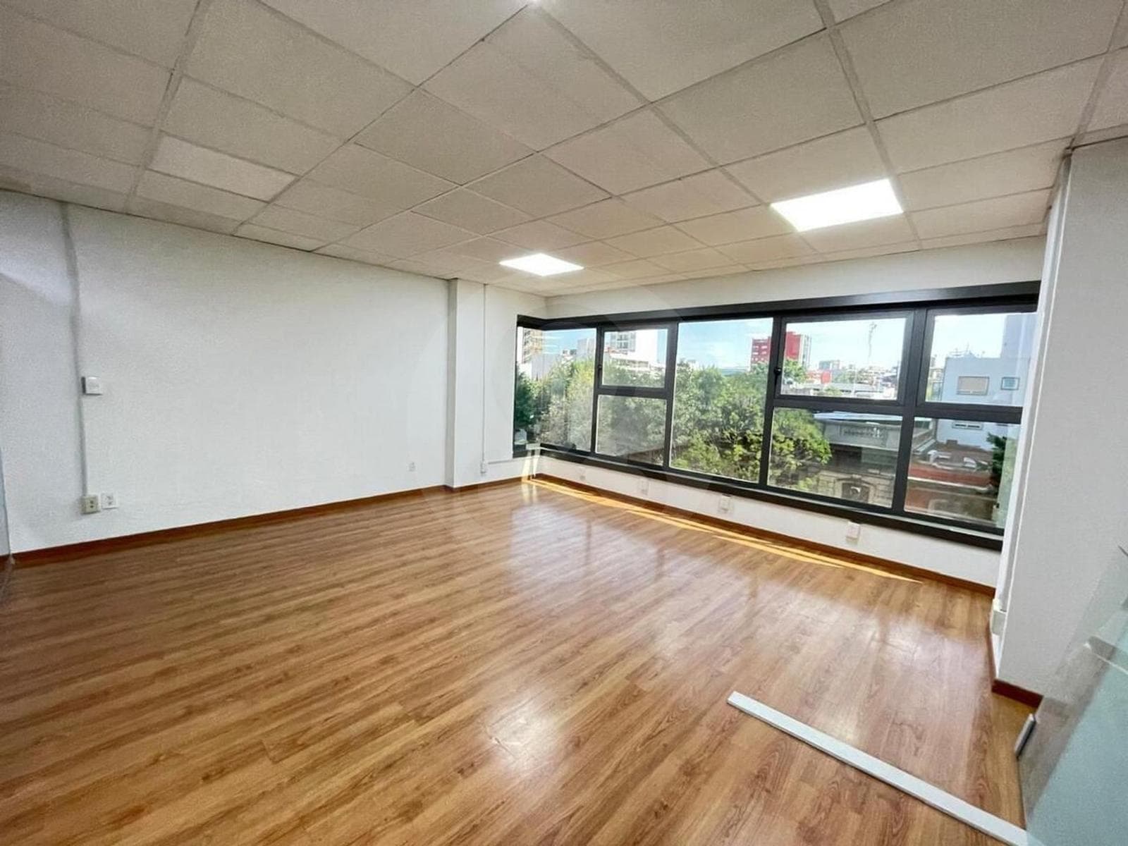 Oficina Premium en Reforma - 1