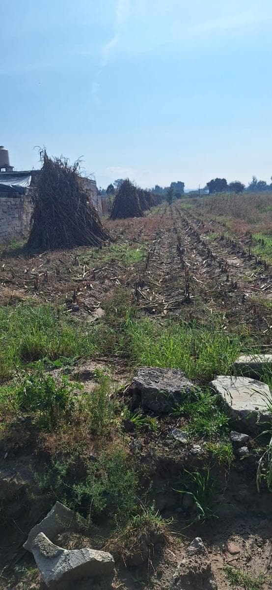 Terreno en Pueblo San Jorge Tezoquipan - 1