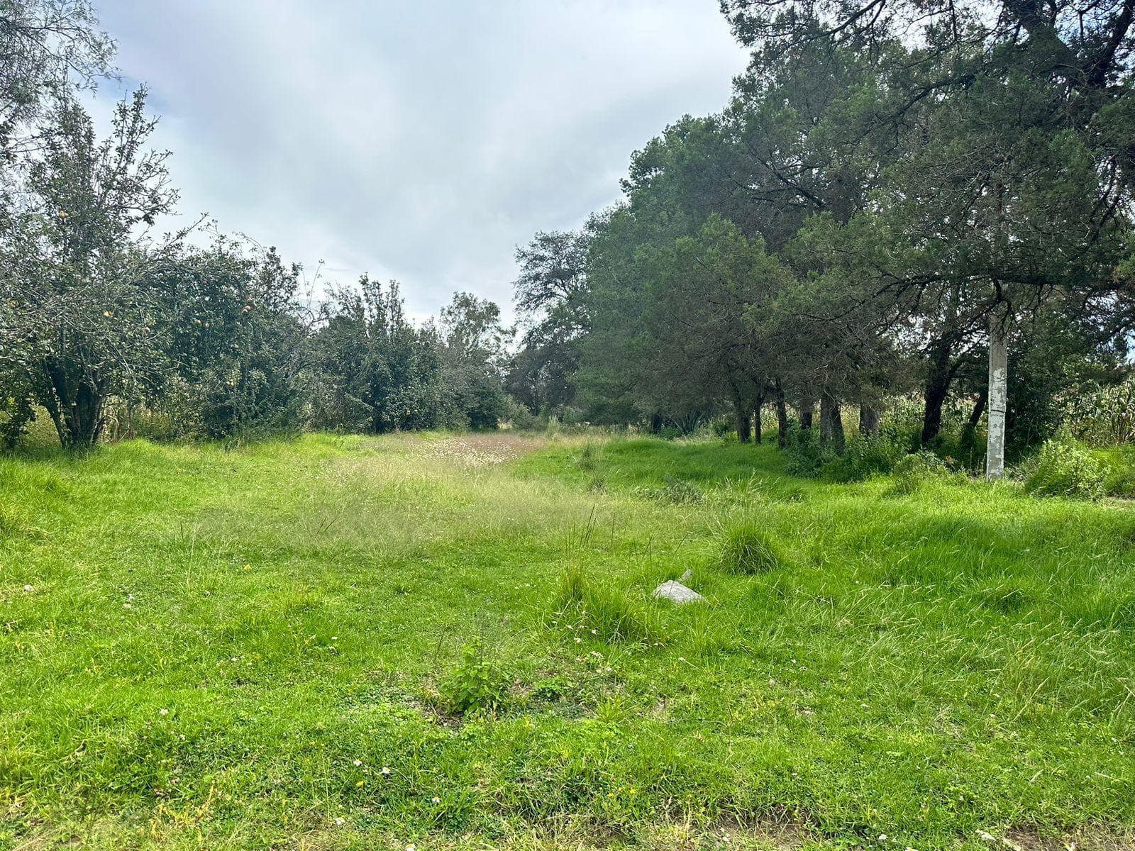 Terreno en Pueblo San Lucas Tlacochcalco - 1