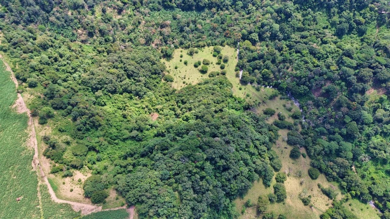 Ranchos en Venta Coatepec - Xico 107 Hectáreas - 1