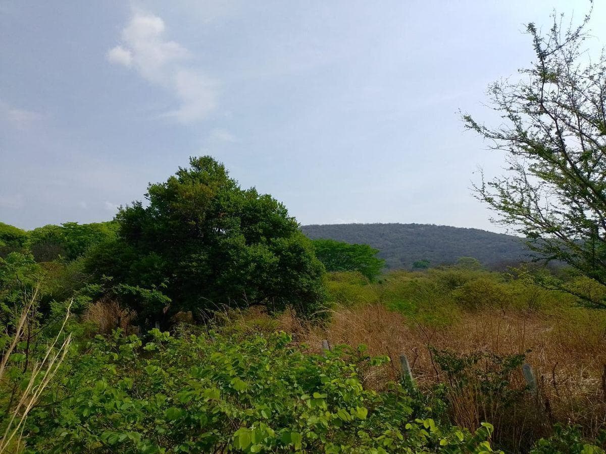 Se VENDE TERRENO en La Trinitaria, Chiapas. - 1