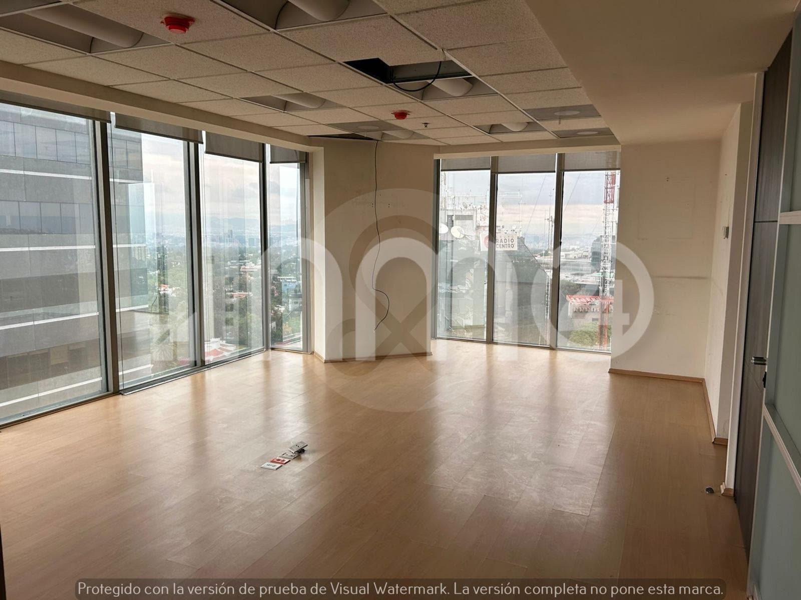 Oficina en Renta en Lomas Altas 325m2 ¡Oportunidad! - 1