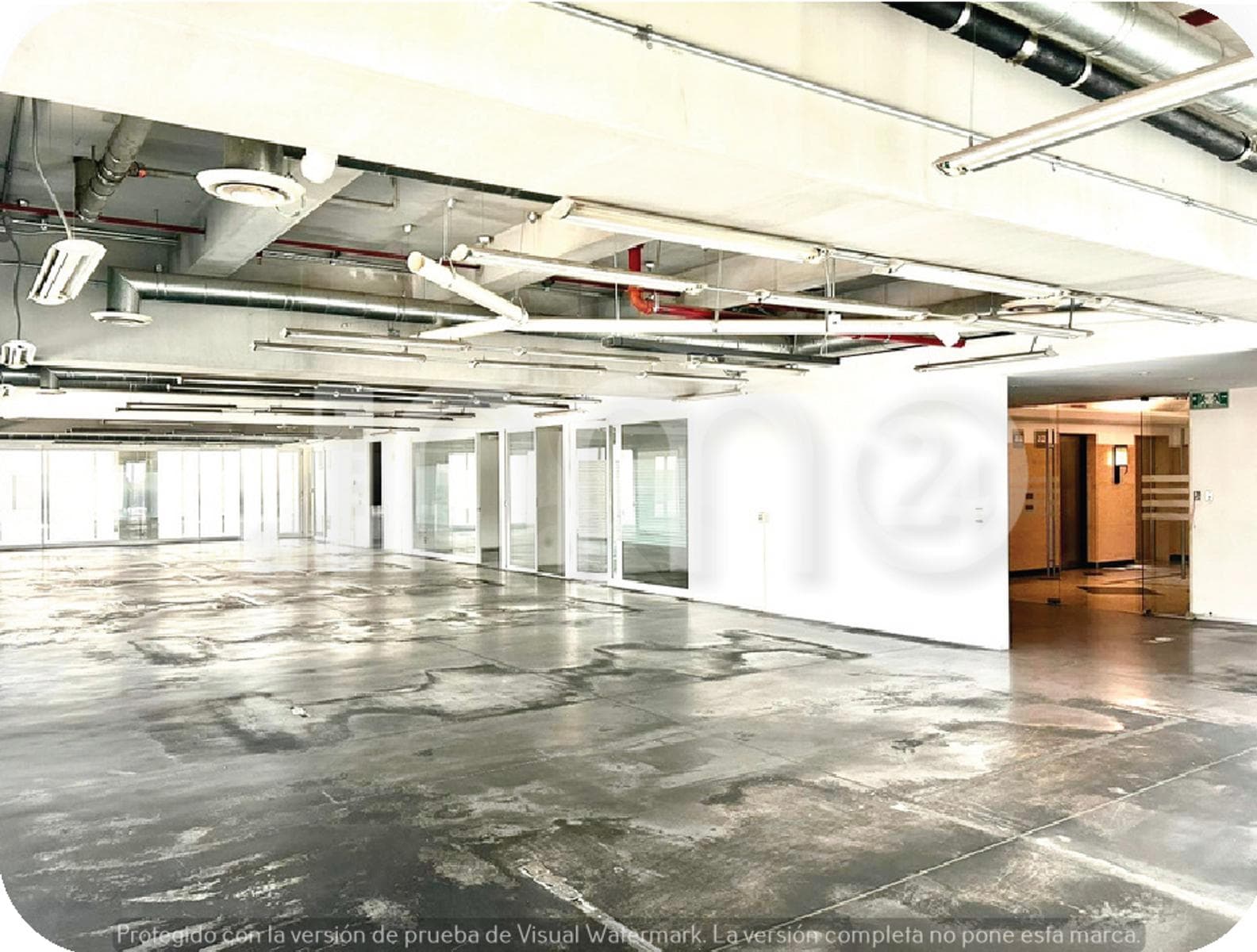 Oficina en Renta en Lomas Altas 584m2 ¡Oportunidad! - 1