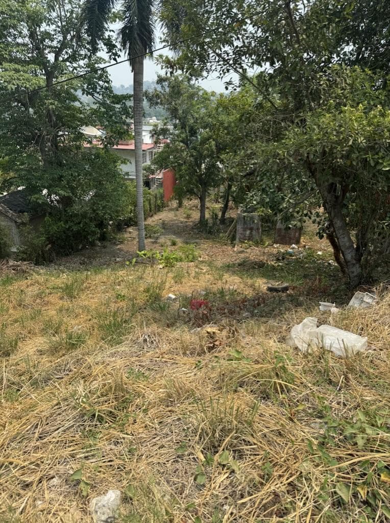 TERRENO EN VENTA CARRETERA FEDERAL POZA RICA, PAPANTLA, VERACRUZ - 1