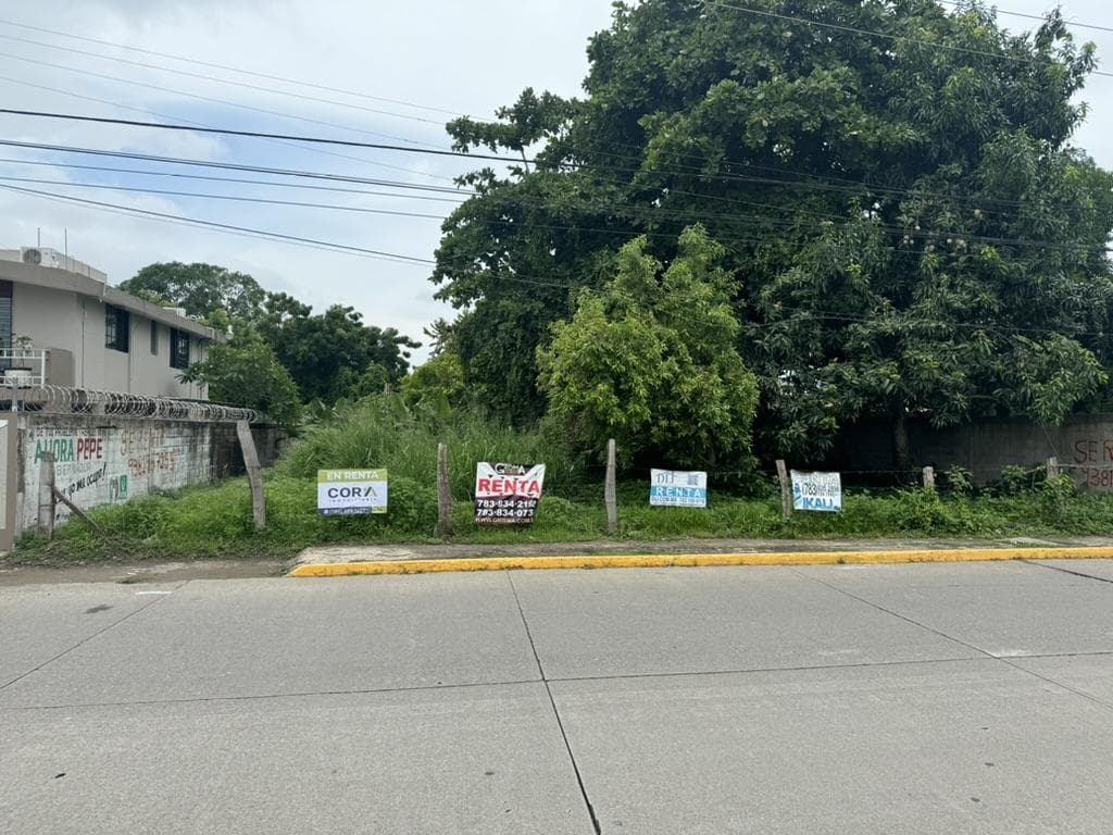 TERRENO EN RENTA BLVD. MAPLES ARCE COL. ADOLFO RUIZ CORTÍNES, TUXPAN, VERACRUZ - 1