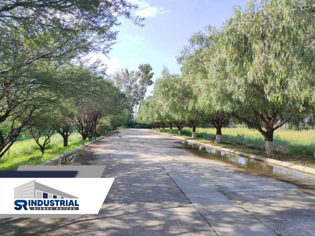 TERRENO RESIDENCIAL EN VENTA GUANAJUATO - 1