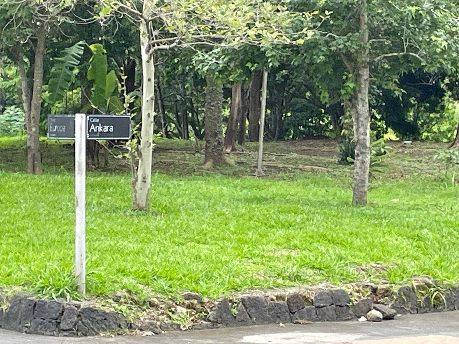 Terreno en RENTA - 1