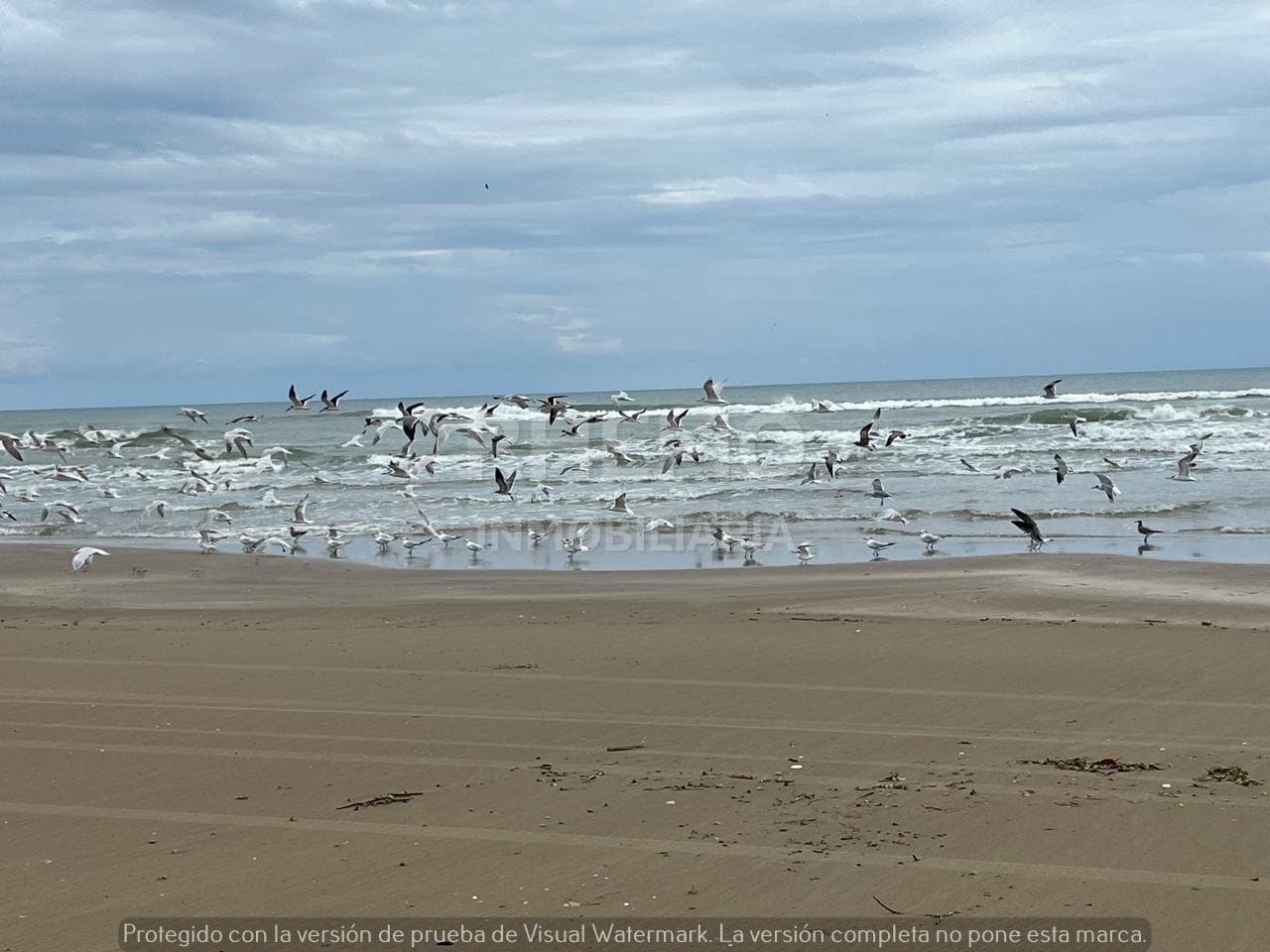 Terreno en la Playa en Venta Tamiahua, Ver. - 1