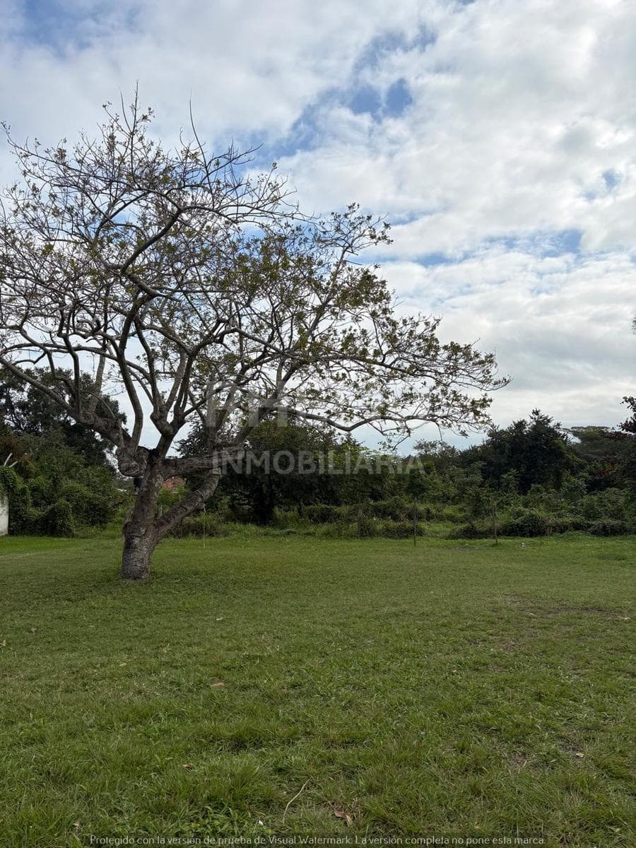 Terreno en Renta Congregacion Banderas, Tuxpan, Ver. - 1