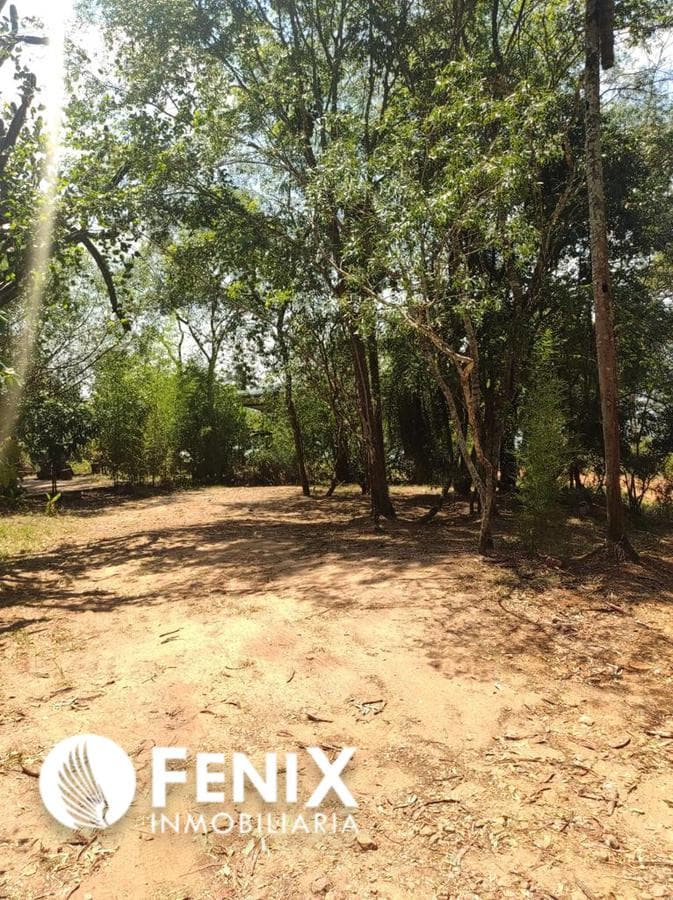 TF582 - TERRENO z/ SAN IGNACIO. - 1