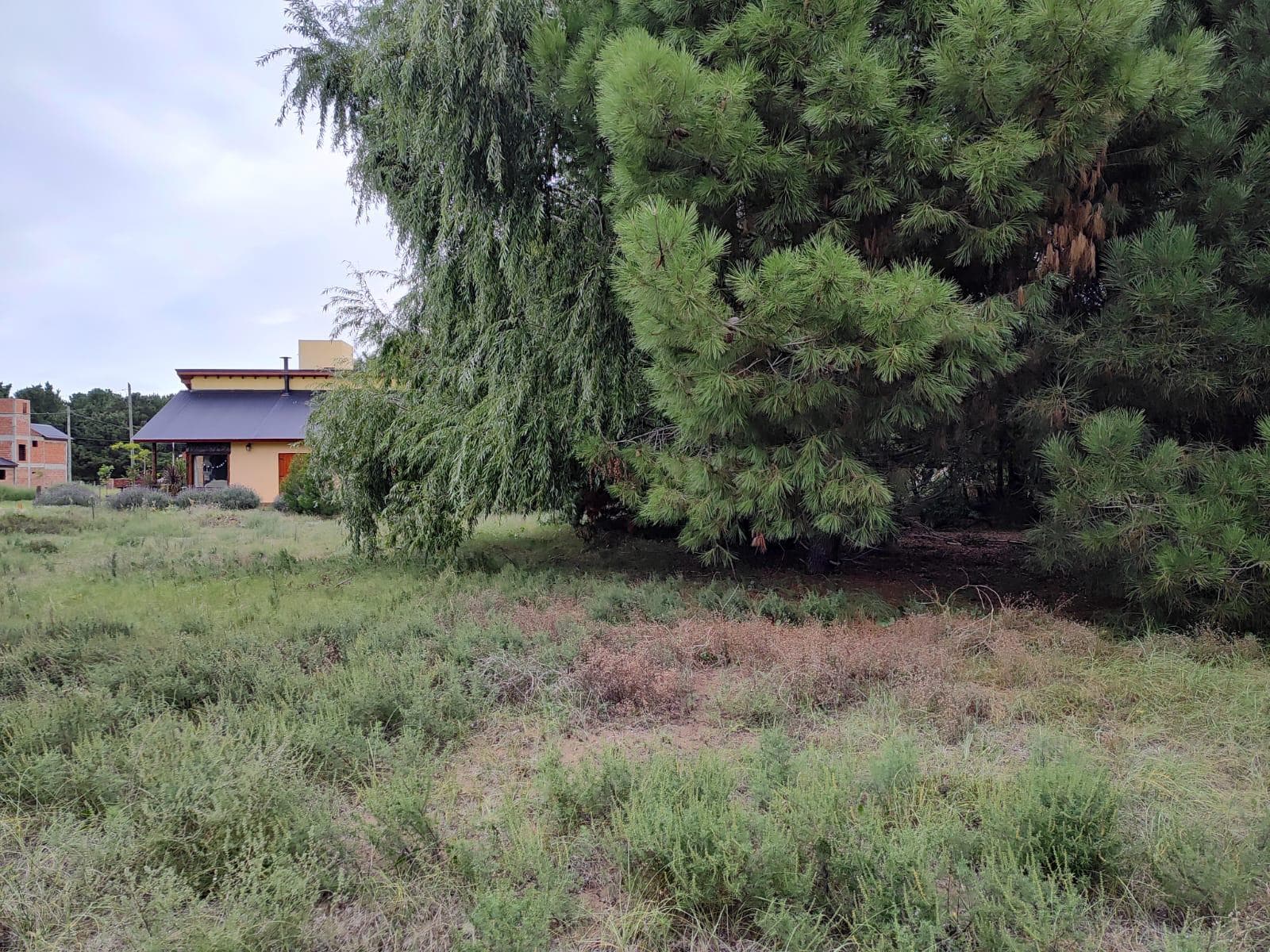 VENTA. TERRENO. PARTIDO DE LA COSTA. MAR DE AJO. NUEVA ATLANTIS. LOTE. OPORTUNIDAD - 1