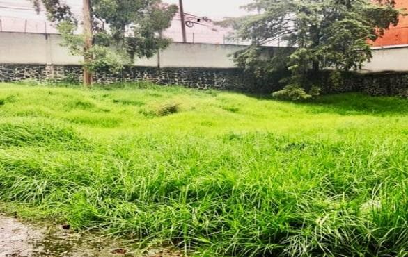 Venta terreno en Contadero - 1