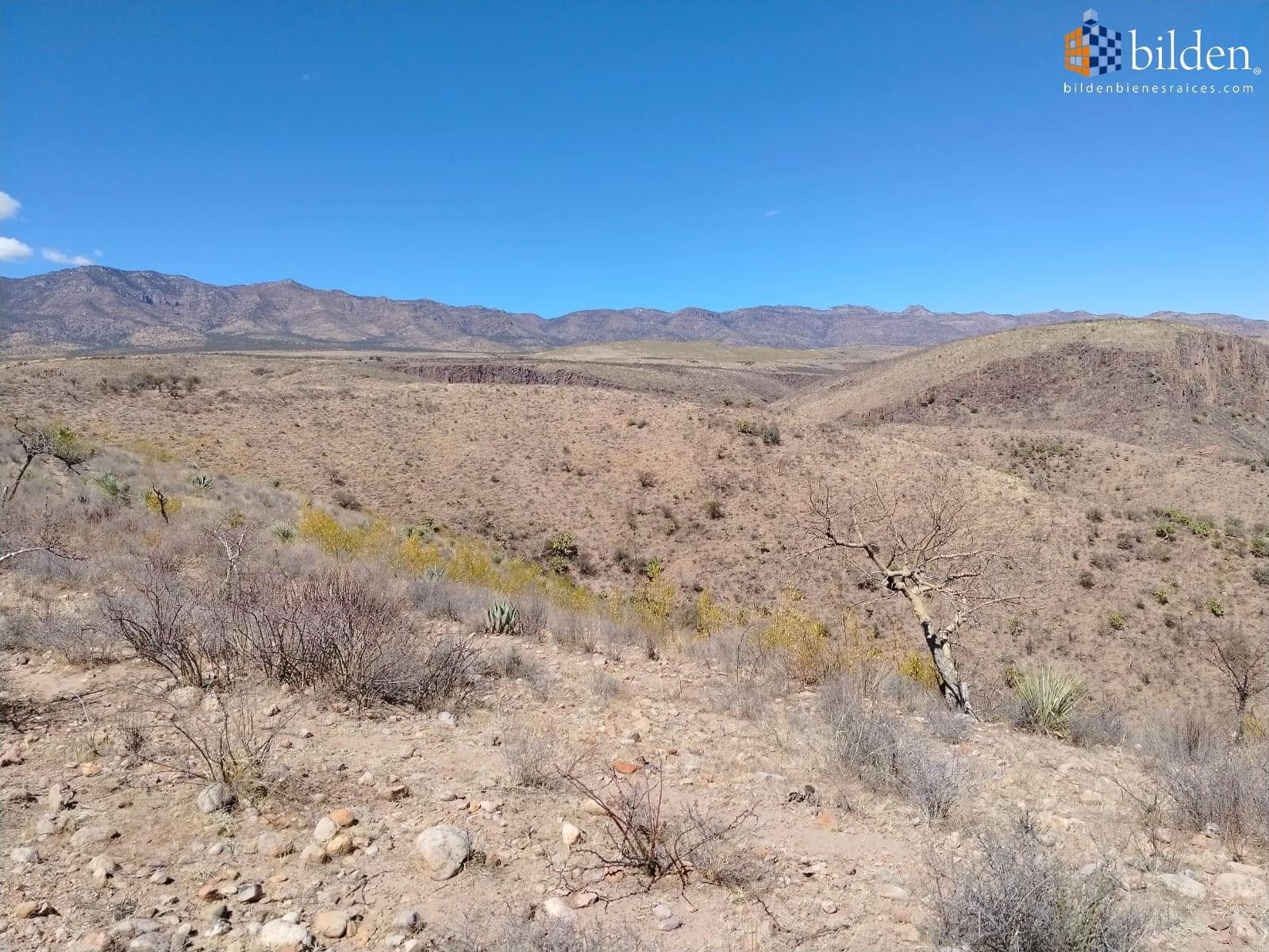 Rancho en Venta en Santa Gertrudis Mezquital Durango - 1