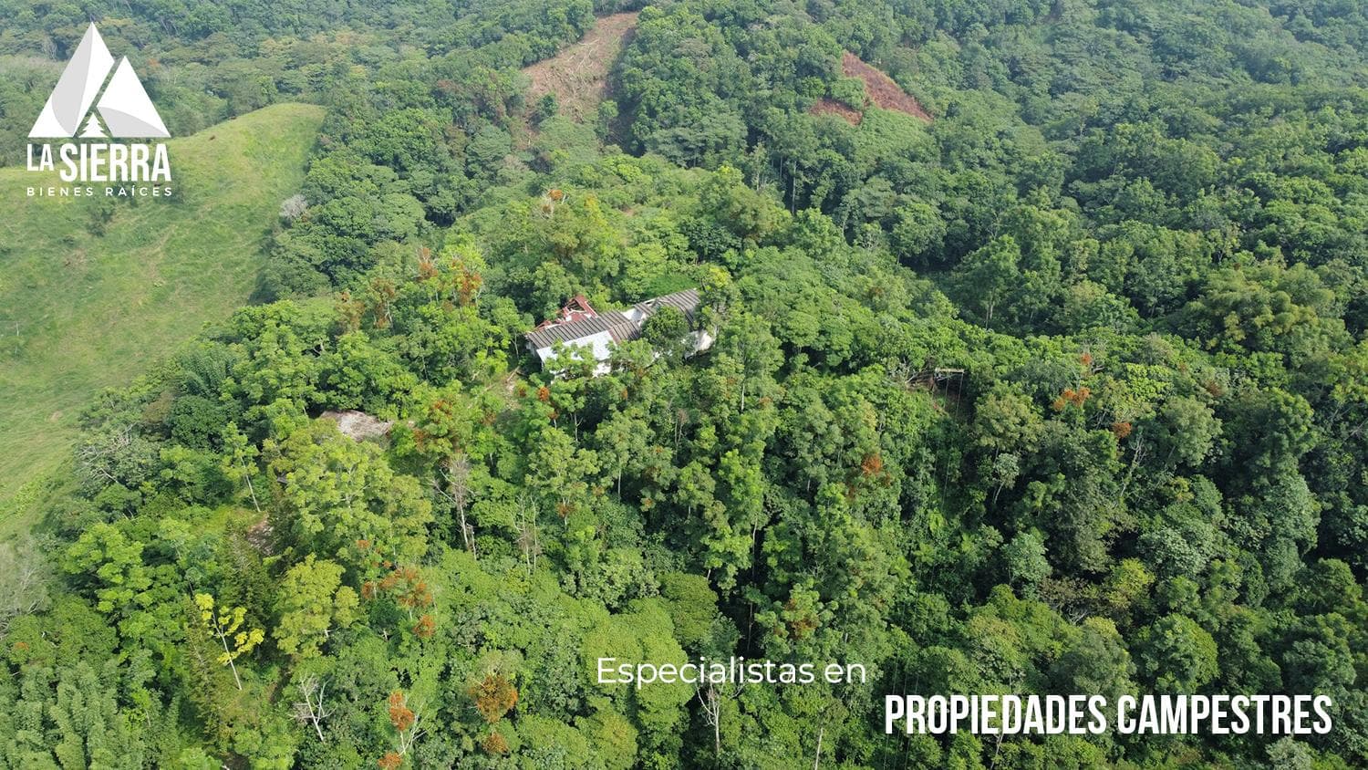 200 HECTÁREAS PARA AGROFORESTERÍA - 1