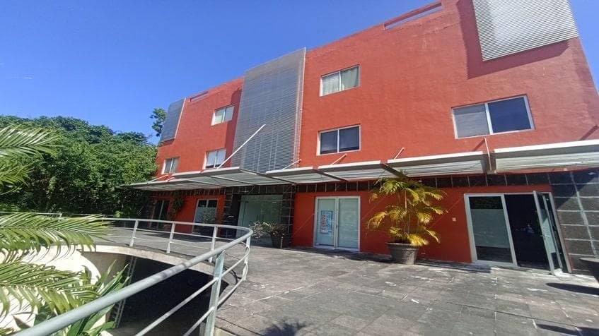 Oficina en Renta en Edificio Bugambilias Playacar - 1