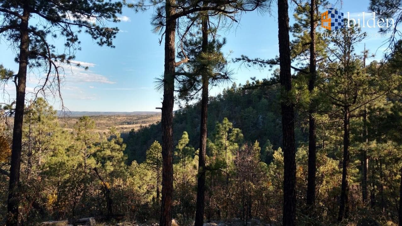Rancho en Venta en Canatlán Durango - 1