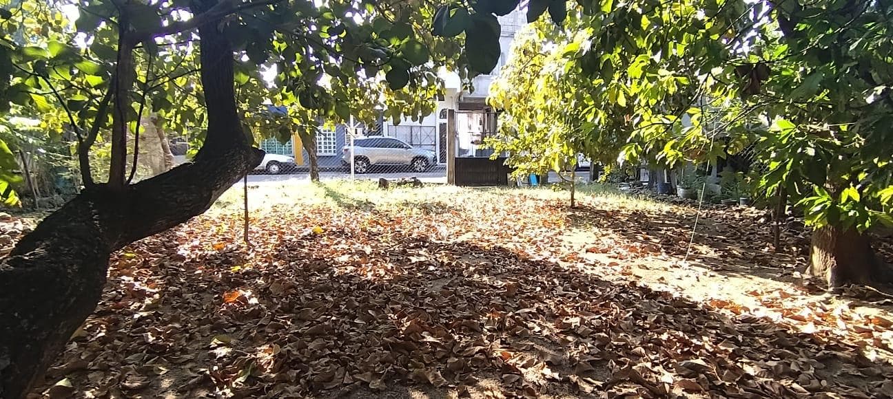 VENTA DE TERRENO - 1