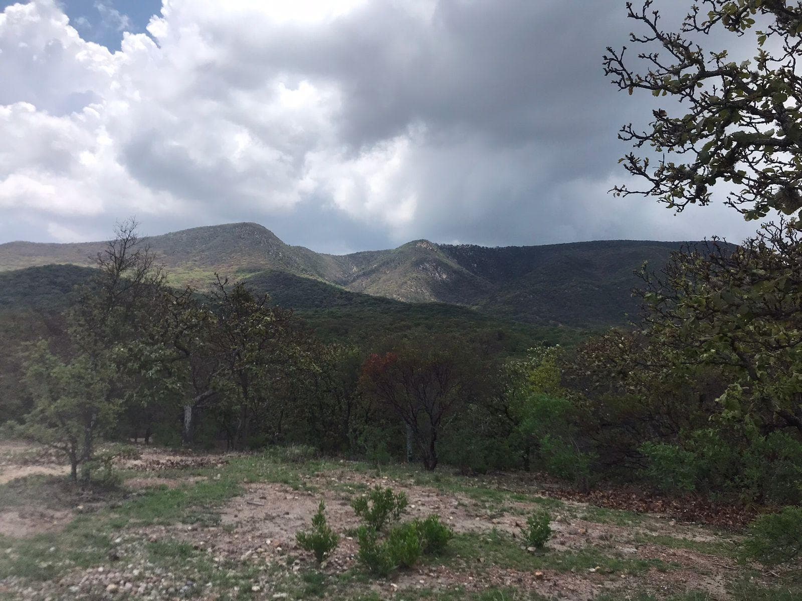 Terreno CAMPESTRE EN VENTA EN COMUNIDAD DE RANCHOS EN SAN MARTÍN DE TERREROS, ESTADO DE GUANAJUATO - 1