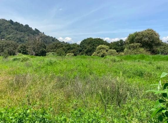 Terreno en venta en av. desierto de los leones - 1