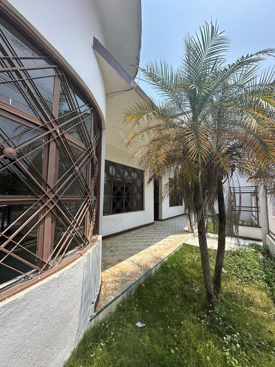 Renta de Local Comercial en Zona Centro en Tuxtepec Oaxaca. - 1