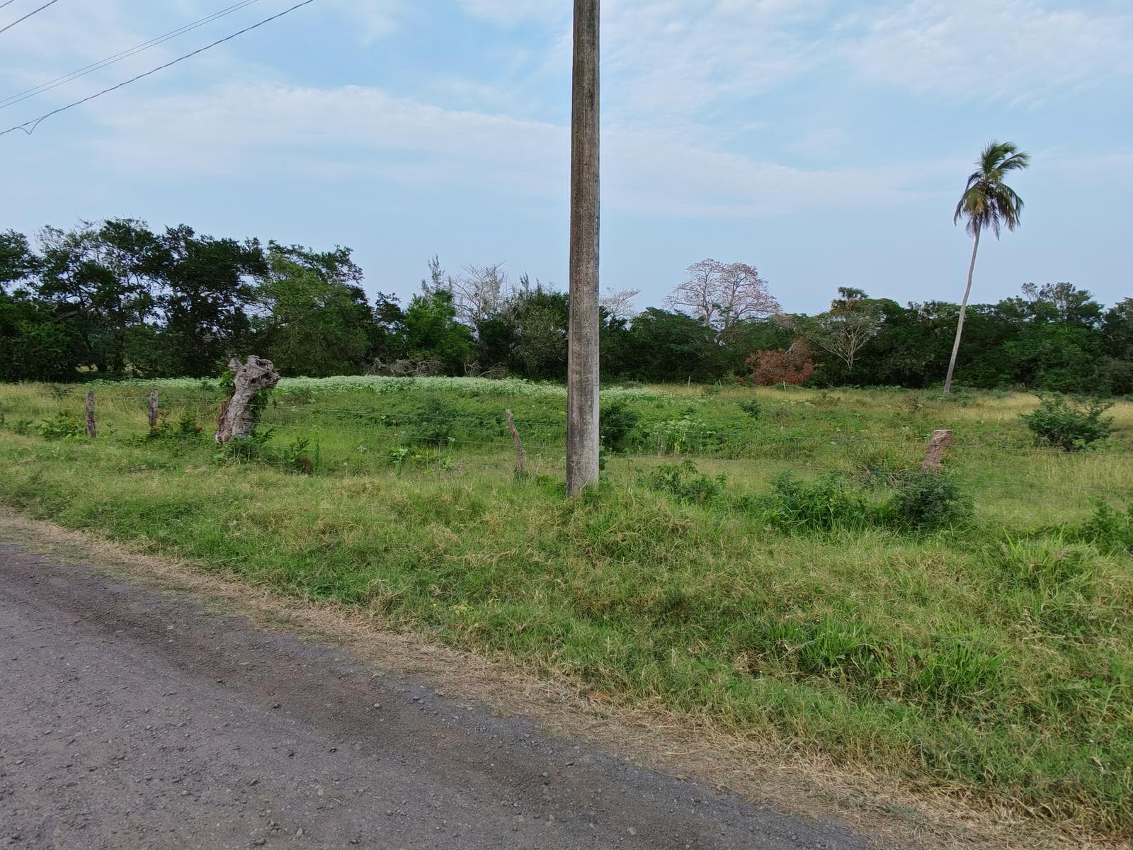 Terreno de 1000 m2 en el municipio de tlalixcoyan - 1