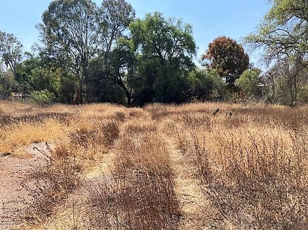 Terreno en Venta en Colón Zona Centro, Querétaro ¡Oportunidad de inversión! - 1