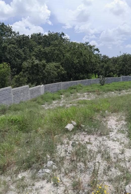Terreno de oportunidad Parras Coahuila - 1