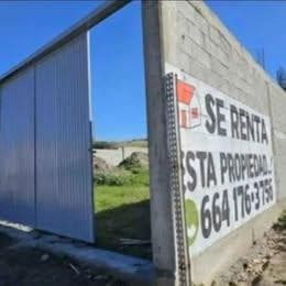 RENTA DE TERRENO BARDEADO, PLANO EN VIÑEDOS CASA BLANCA TIJUANA, B.C. - 1