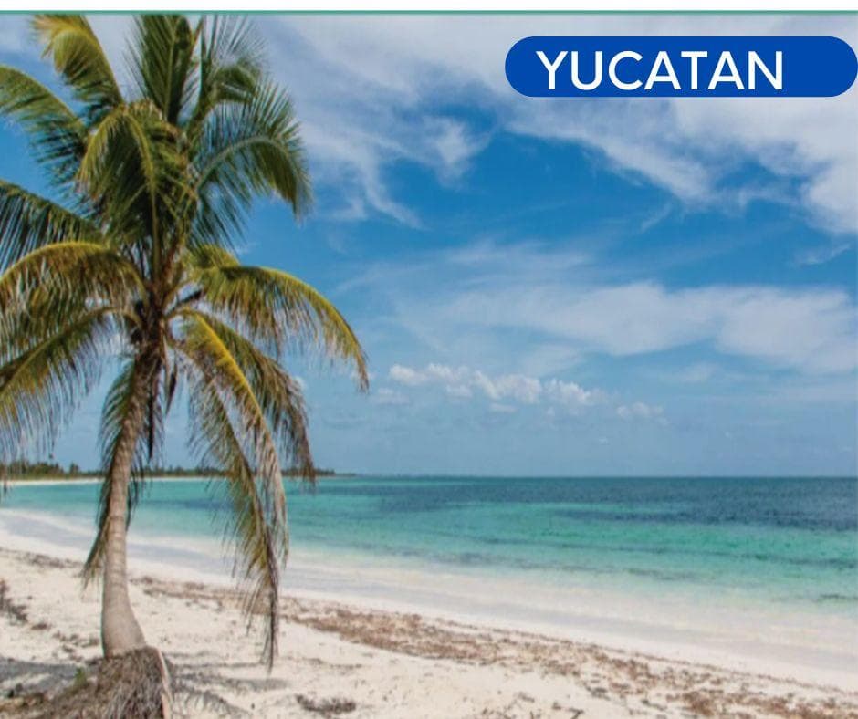Terreno en venta cerca de playa Yucatán - 1