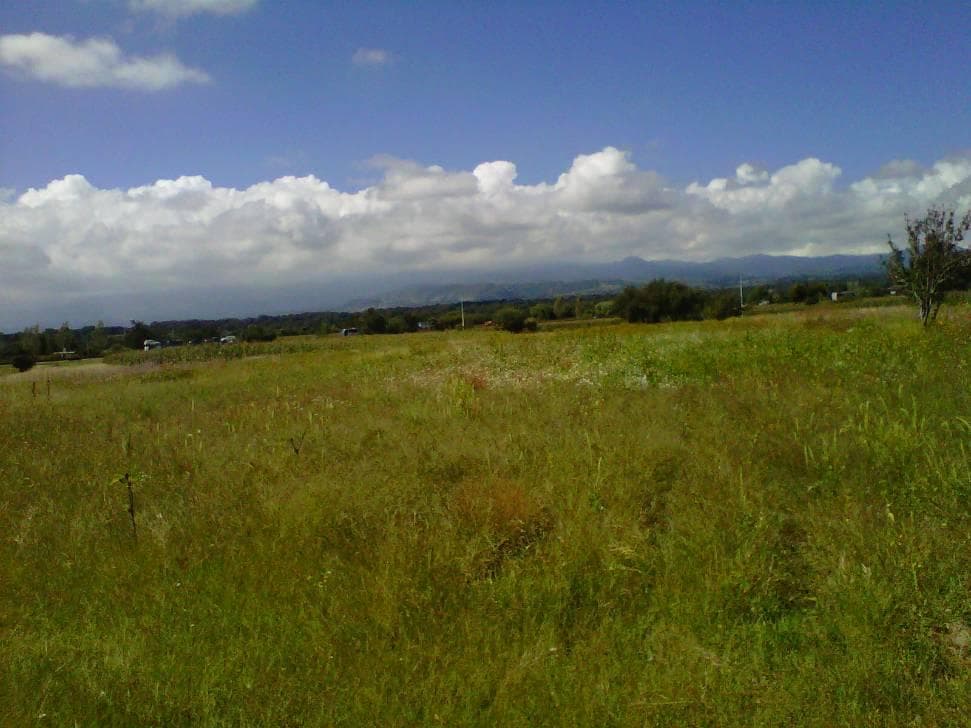 Venta deTerreno en San Martín Texmelucan mpio. San Matias Tlalancaleca - 1