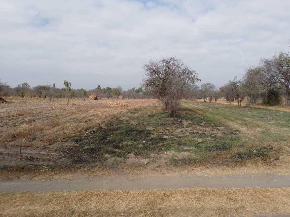 Venta de terreno de 1,660 m2 rustico- a 500 metros de Jurisdicción Sanitaria 5. - 1