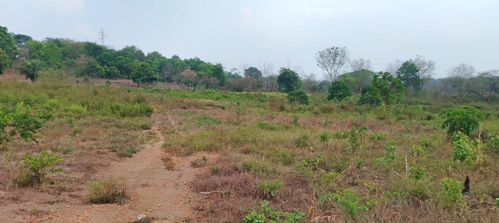 Terreno en RENTA DE TERRENO A PIE DE CARRETERA EN SEBASTOPOL TUXTEPEC OAXACA - 1