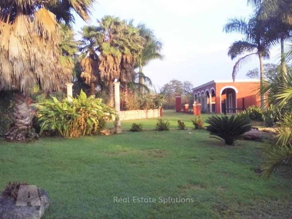 Hacienda Nueva en Venta, 9 Has, Chicxulub, Ixil, Yucatán Mex - 1
