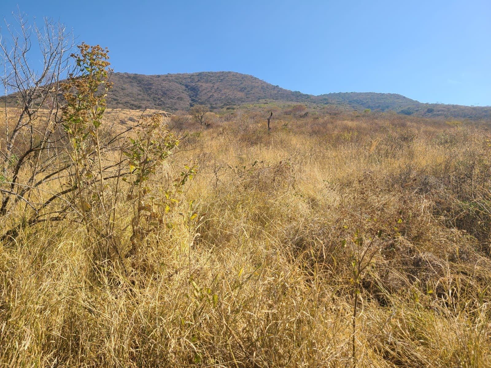 Terreno en Venta en Tangancícuaro, Michoacán - 1