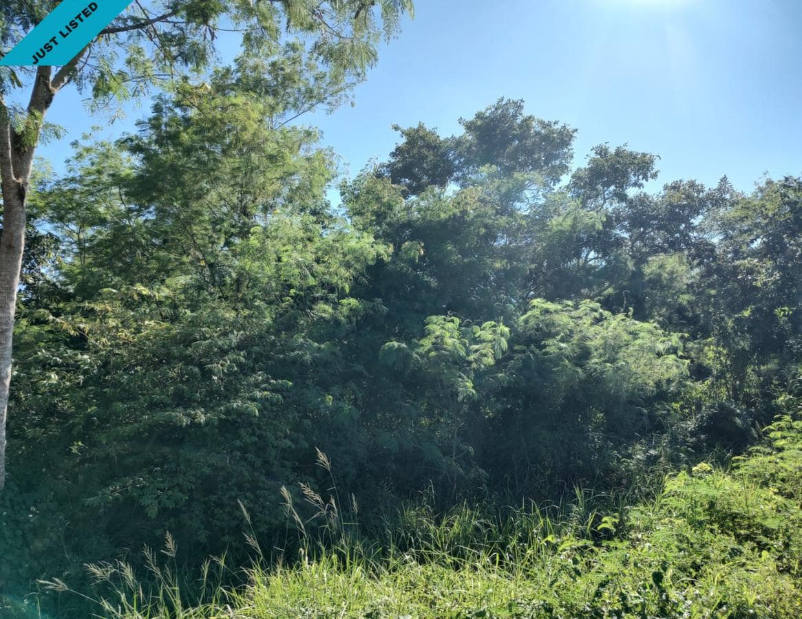 TERRENO EN VENTA MERIDA, MOTUL 2 TERRENOS JUNTOS (AVT-1210) - 1