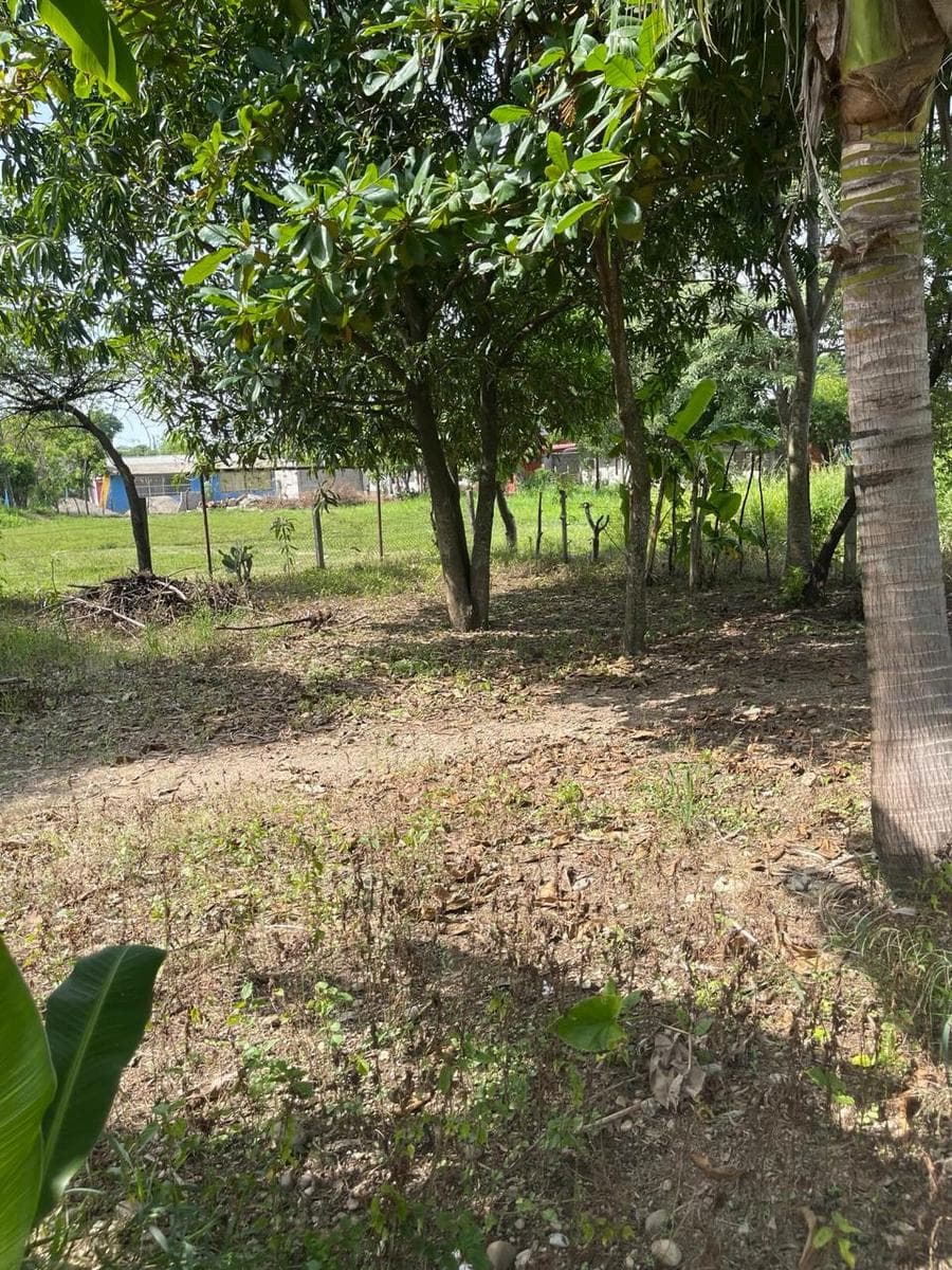 Venta de Terreno en Colonia la Moderna en Tuxtepec Oaxaca. - 1