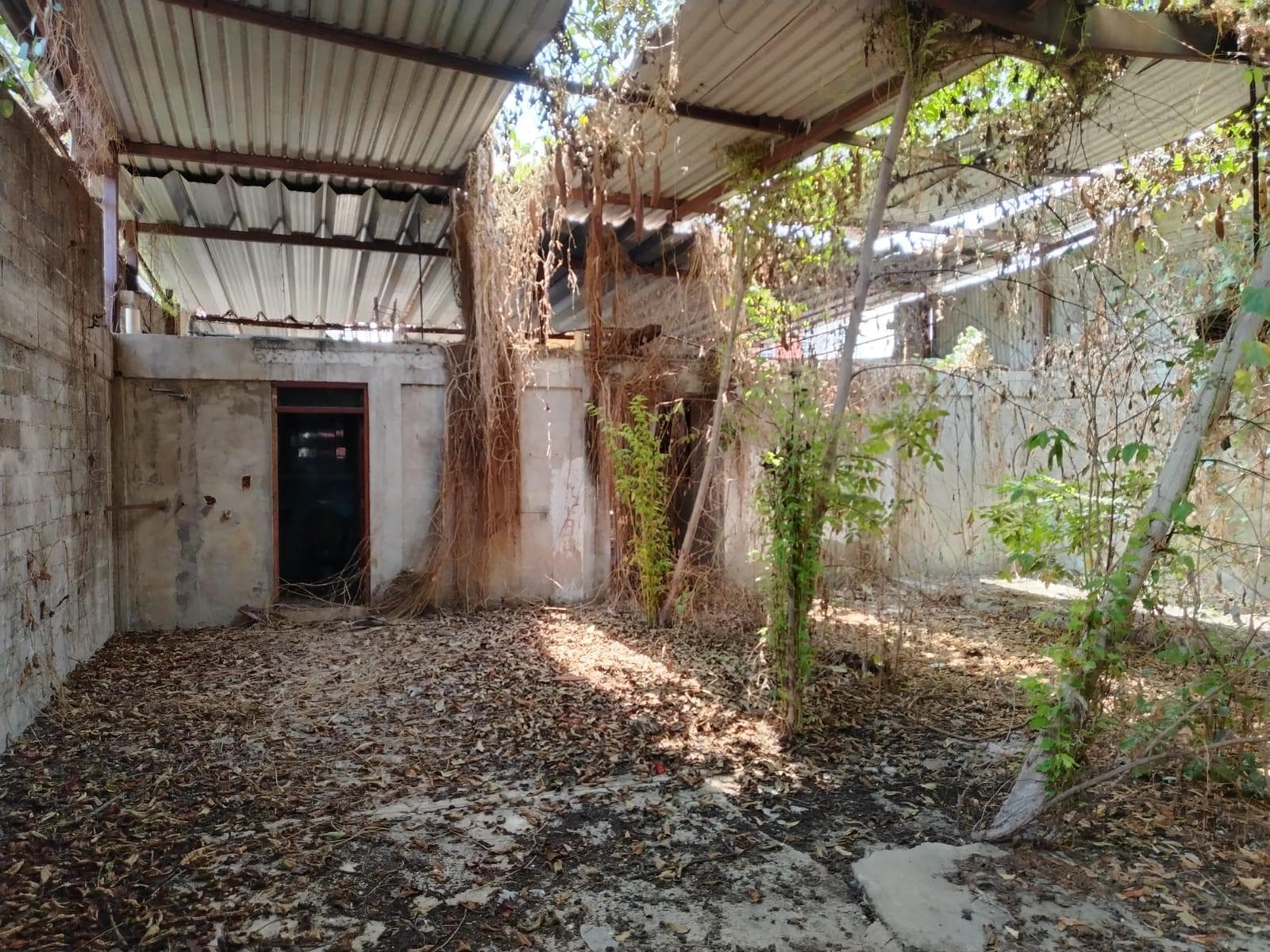 Venta de Terreno en Zona Centro en Tuxtepec Oaxaca - 1