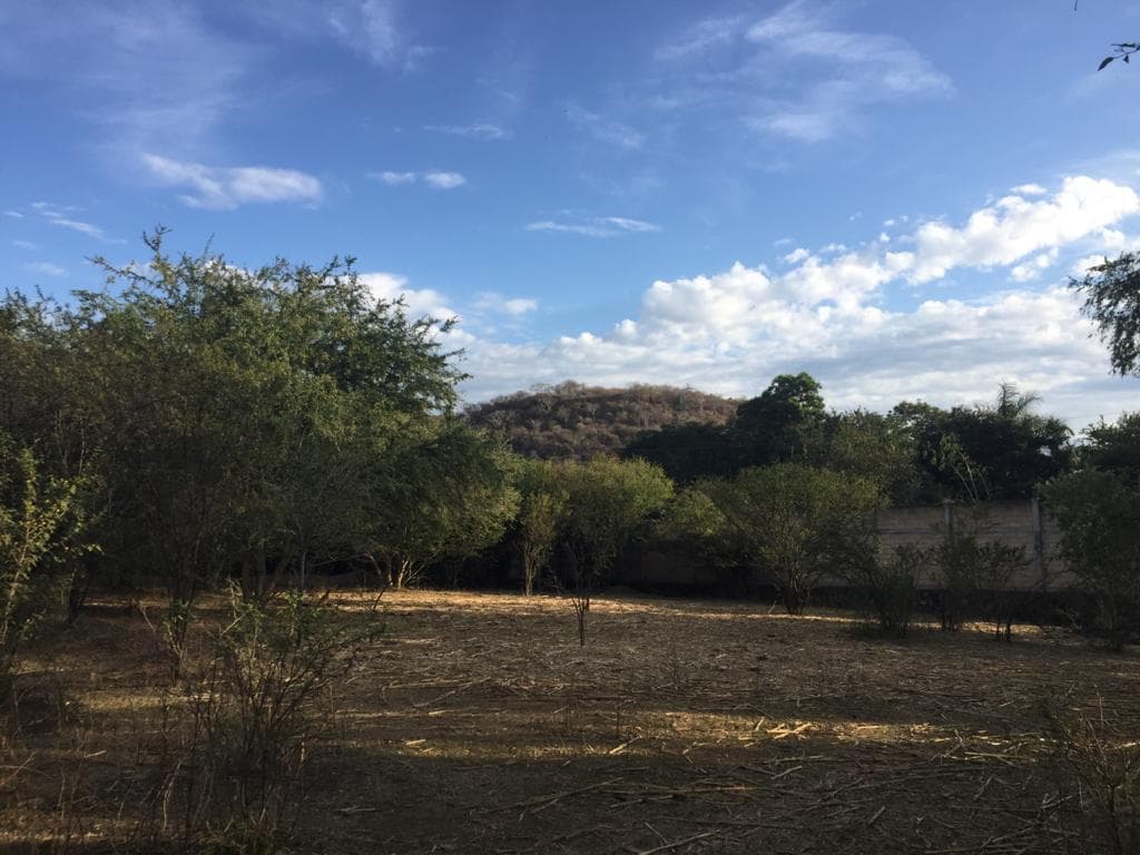 Terreno en VENTA cerca de las Estacas, Ticumán, Morelos - 1
